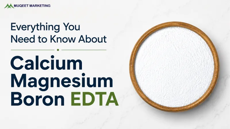 Everything You Need to Know About Calcium Magnesium Boron EDTA