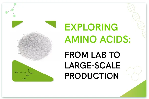 Exploring Amino Acids: From Lab to Large-Scale Production
