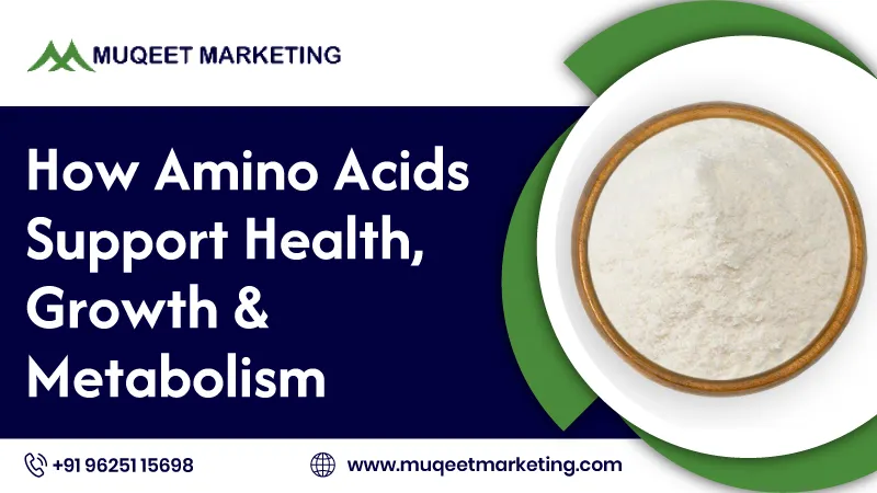 How Amino Acids Support Health, Growth & Metabolism