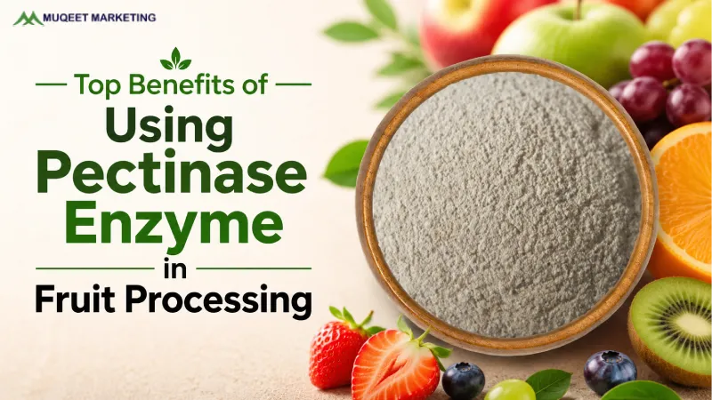 Top Benefits of Using Pectinase Enzyme in Fruit Processing